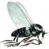 Fly Control Around Horses